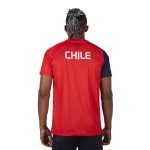 chile sudamericano-03