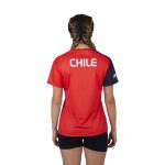 chile sudamericano-06