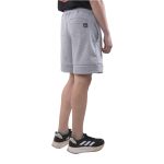 aleman de chicureo-04