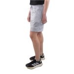 aleman de chicureo-05