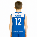 Camiseta Voleibol Niño DS Santiago Azul Espalda