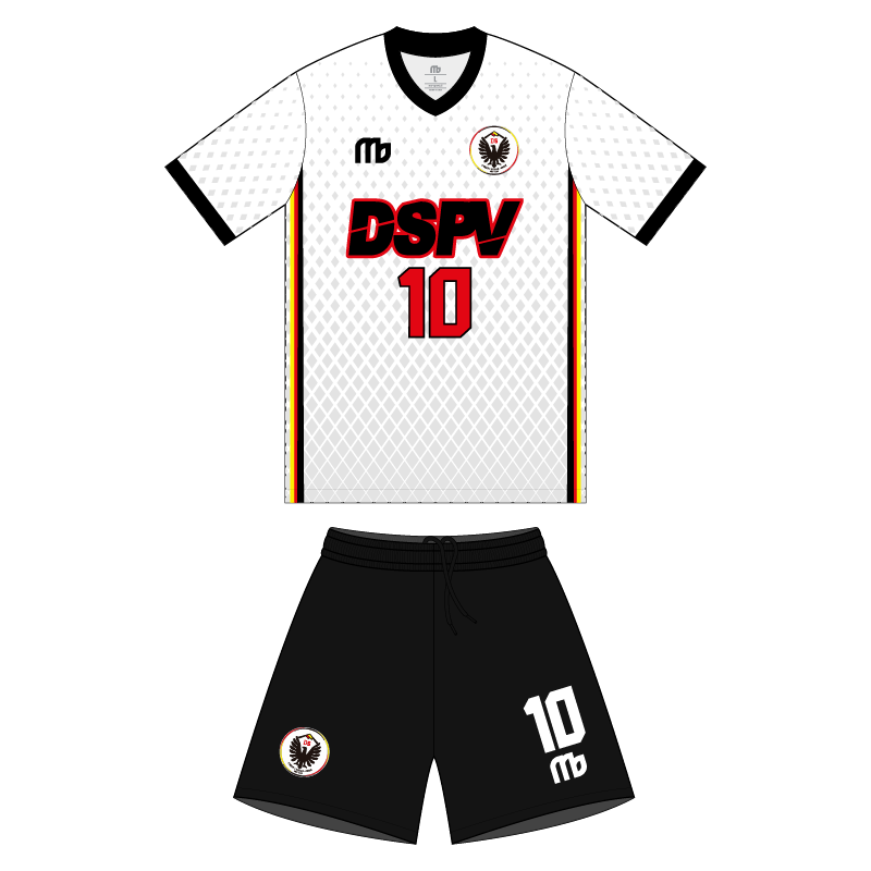 ds temuco-06