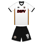 ds temuco-11