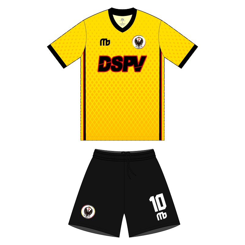 ds temuco-16